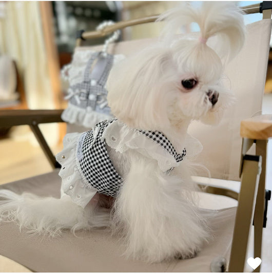 Vestido Pastoral Ligero para Perros y Gatos con Arnés de Tracción - Image 9