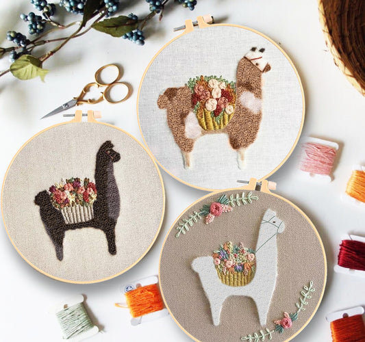 Kit de Bordado DIY Completo para Principiantes - Material de Manualidades