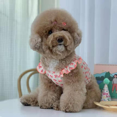 Falda Protectora para Perros Pequeños, Medianos y Grandes - Image 18