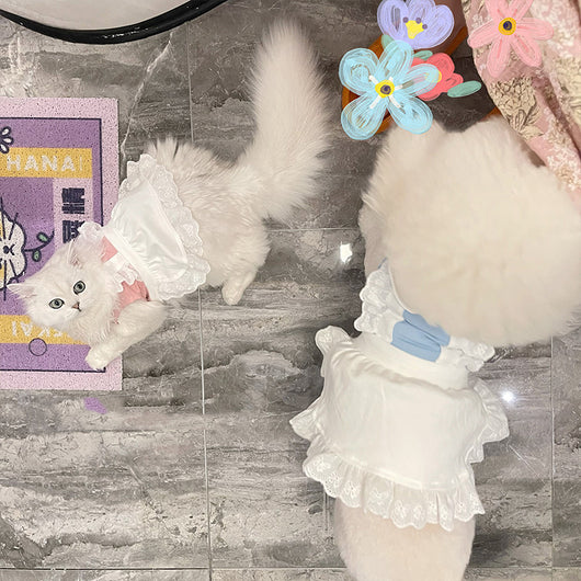 Vestido de Encaje Elegante para Mascotas - Ropa para Perros y Gatos Pequeños - Image 3