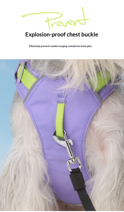 Arnés Multiusos Impermeable de Secado Rápido para Perros - Image 17