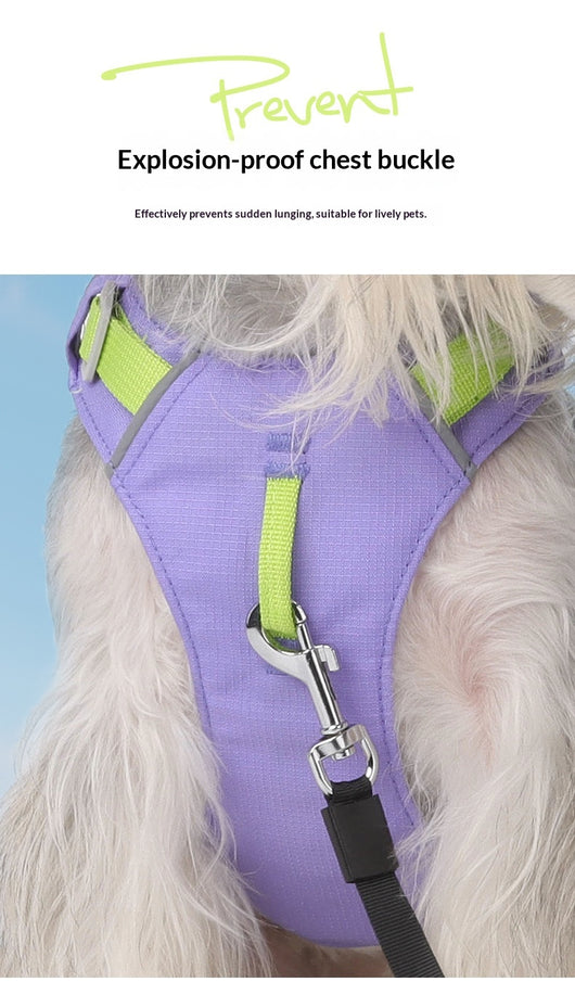 Arnés Multiusos Impermeable de Secado Rápido para Perros - Image 17