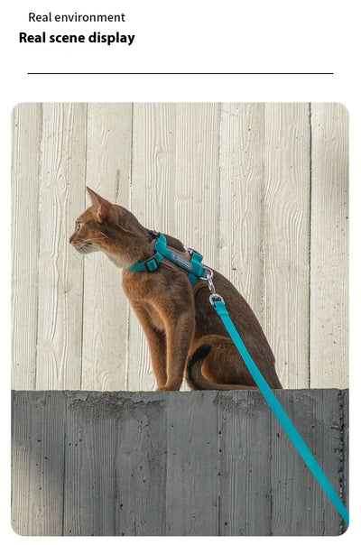 Arnés de Tracción en I para Gatos - Chaleco Pectoral y Dorsal - Image 19