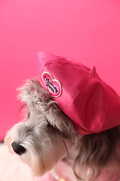 Sombrero Calabaza para Fotos de Mascotas - Diseño Cóncavo - Image 14