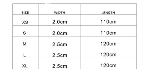 Correa y Collar para Perro Ajustable de Calidad Premium - Image 5