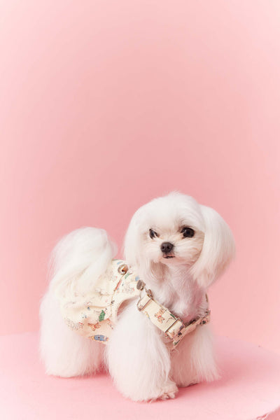 Falda Denim con Tirantes para Perros Pequeños Schnauzer y Maltés - Image 10