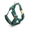 Verde Thoracodorsal XS