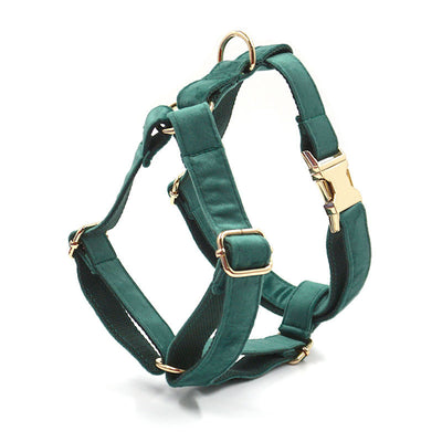 Collar y Correa para Perro en Terciopelo Verde - Image 5