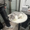 Cama Portátil para Gatos con Estructura Metálica Desmontable