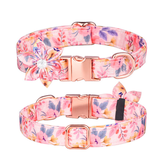Juego de Collar y Correa Personalizado para Mascotas - Image 13