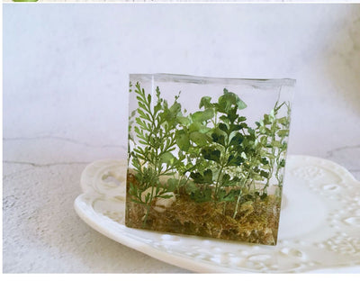 Cubo de Plantas Secas con Flores Deshidratadas y Musgo Natural - Image 8