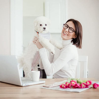 Bufanda Térmica Ajustable para Perros con Personalización por Transferencia - Image 3