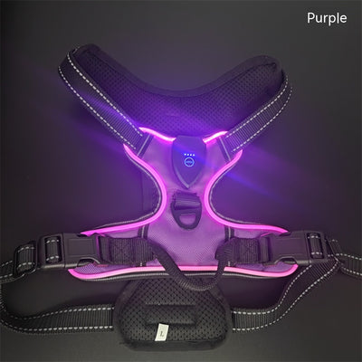 Chaleco LED Luminoso para Paseos Nocturnos de Mascotas con Destello Ajustable - Image 5