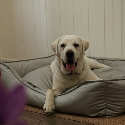 Cama Impermeable para Mascotas - Sofá Nido de Cuero Sintético Premium - Image 13
