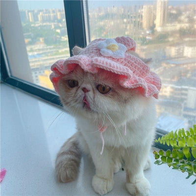 Gorro Tejido para Mascotas - Sombrero Divertido para Gatos y Perros - Image 11