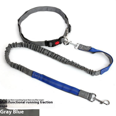 Correa Reflectante para Perros con Elástico - Ideal para Correr de Noche - Image 21