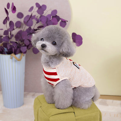 Chaleco de Moda para Mascotas - Ropa Personalizada - Image 5