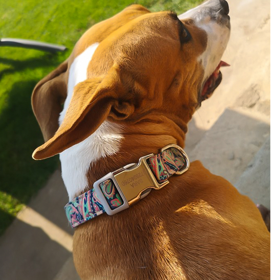 Collar Identificador para Perros Grandes con Placa Personalizable - Image 21