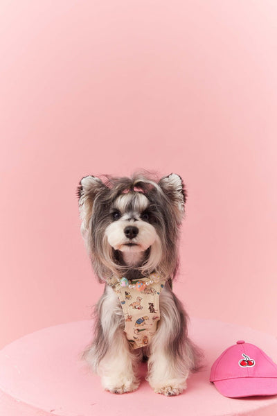 Falda Denim con Tirantes para Perros Pequeños Schnauzer y Maltés - Image 34