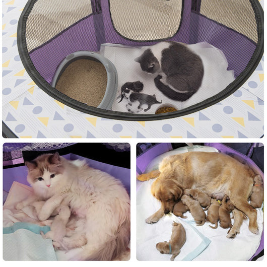 Carpa Plegable Cerrada para Parto de Gatos - Image 16