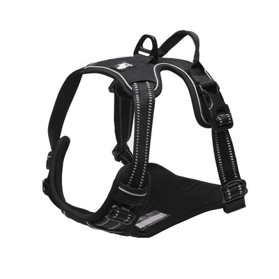 Chaleco de Protección para Perros Grandes - Image 13