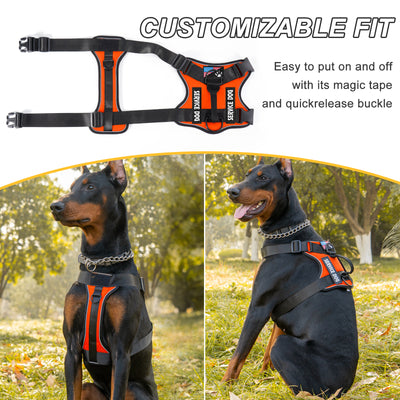 Arnés Pectoral para Perro con Correa de Control - Image 17