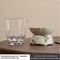 Tea Strainer Juego Vidrio Fair