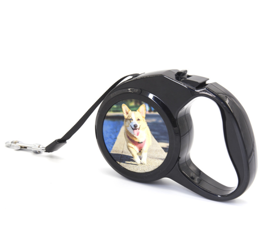 Correa Retráctil Automática con Transferencia Térmica para Perros - Image 9