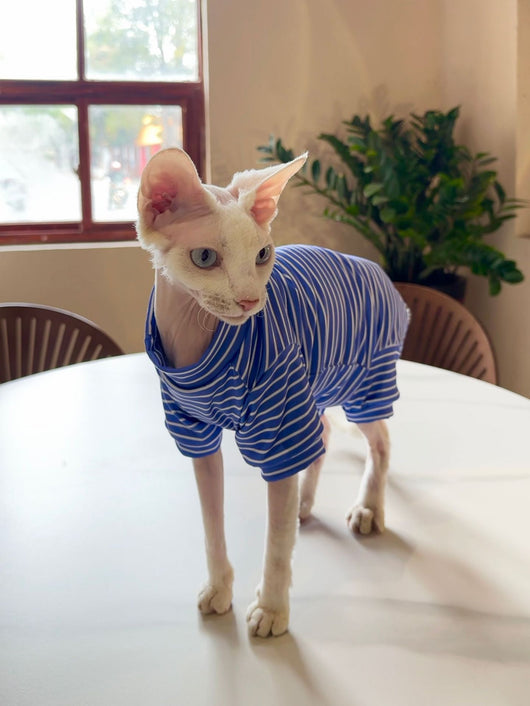 Ropa Transpirable para Gatos - Diseño Ligero y Fresco - Image 8