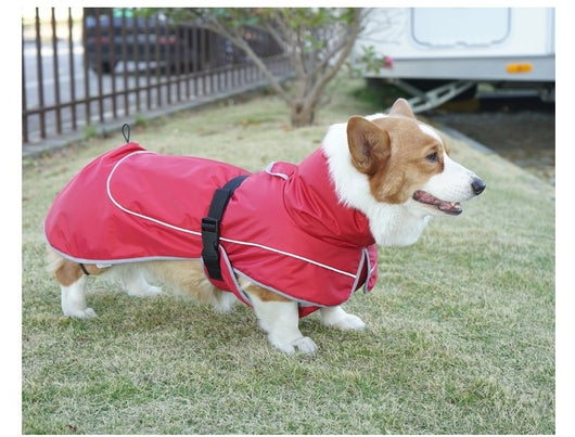 Abrigo Térmico Protector para Perros - Image 17