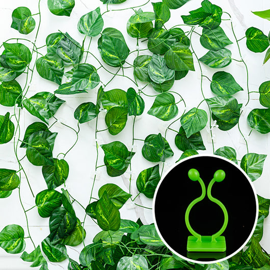 Clip Adhesivo para Plantas Trepadoras - Fijación sin Perforaciones - Image 13