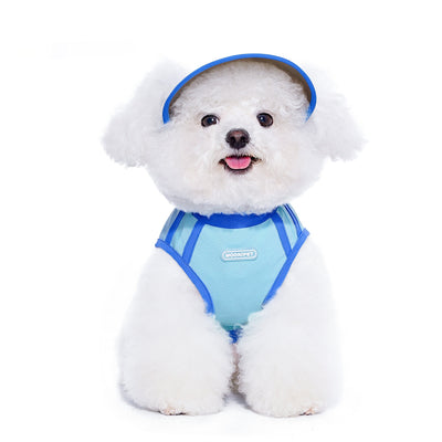 Gorro de Otoño para Perros Pequeños York - Image 9