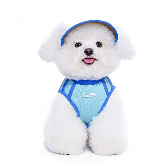 Gorro de Otoño para Perros Pequeños York - Image 9
