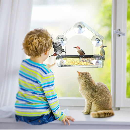 Transparent acrylic window bird feeder with a house-shaped roof and black perch, mounted with suction cups.