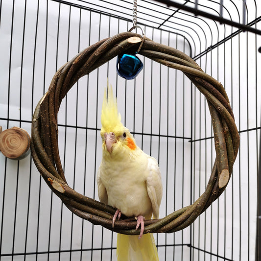 A green and red lovebird perches on a natural wood branch perch, mounted inside a white wire bird cage.
