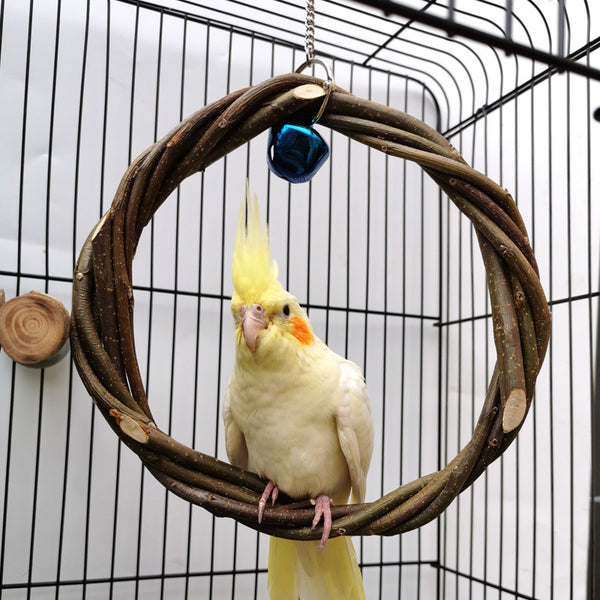 A green and red lovebird perches on a natural wood branch perch, mounted inside a white wire bird cage.