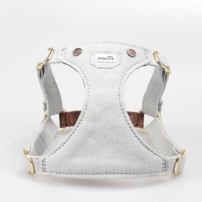 Arnés Ajustable para Perros Pequeños - Diseño Teddy Adorable - Image 10
