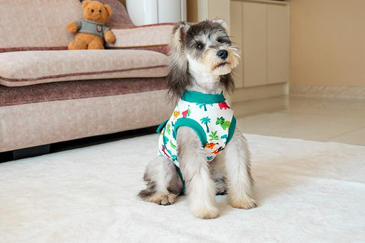 Ropa Quirúrgica Protectora para Mascotas - Anti-lamido Universal - Image 17