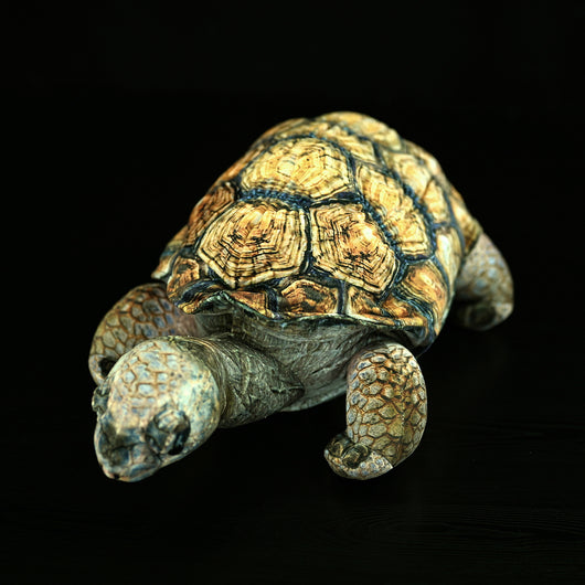 Peluche Realista de Tortuga Galápagos - Juguete Educativo y Adorable - Image 6