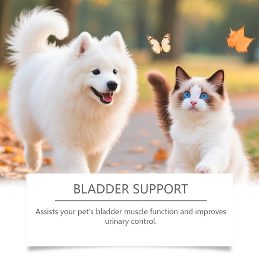 Gotas de Salud Urinaria para Gatos y Perros - Image 5