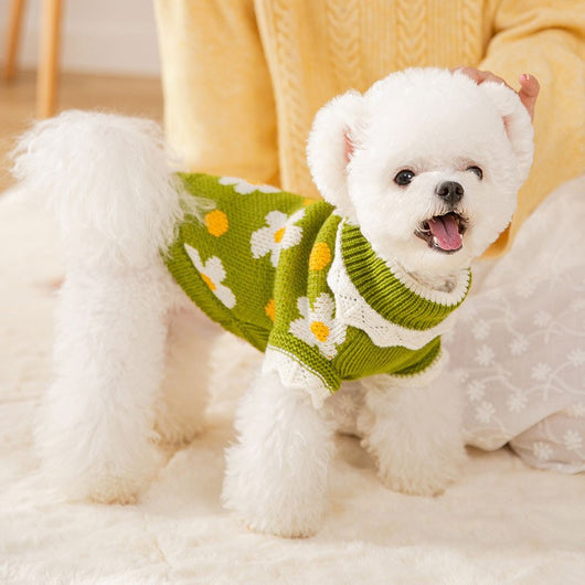 Suéter Tejido para Mascotas - Colección Otoño Invierno - Image 6