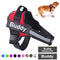 Chaleco Reflectante y Transpirable para Mascotas con Ajuste Regulable