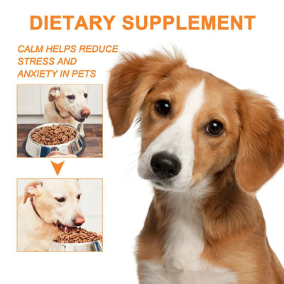 Suplemento Nutricional para Gatos y Perros - Fórmula Completa para Fitness y Bienestar - Image 5