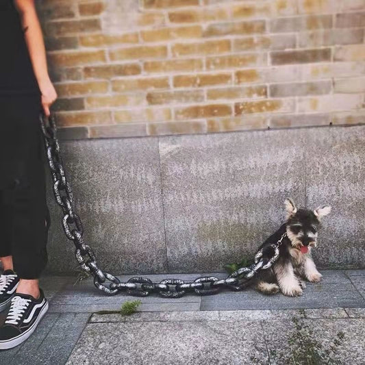 Correa para Perro Estilo Influencer - Accesorio Viral para Videos y Paseos