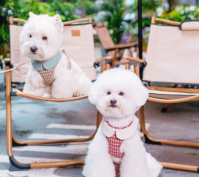 Arnés de Paseo Ligero para Perros Pequeños con Cuerda - Image 3