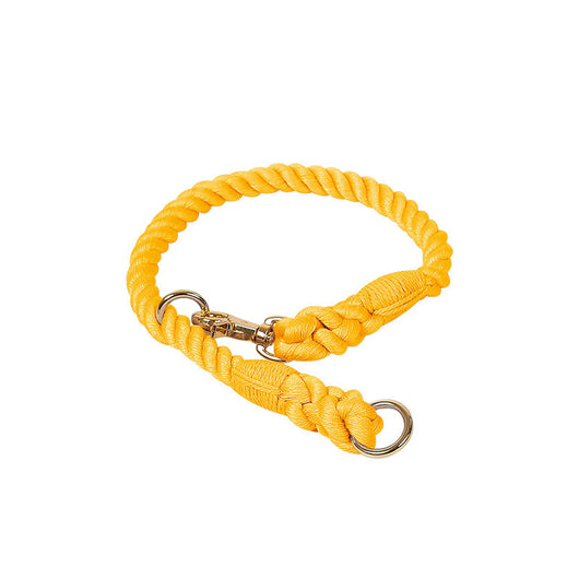 Collar Tipo P Ajustable para Perros Pequeños y Medianos