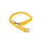 Collar Tipo P Ajustable para Perros Pequeños y Medianos