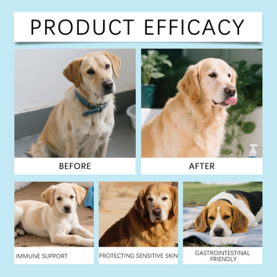 Probióticos en Gránulos Blandos para la Salud Digestiva de tu Perro - Image 8