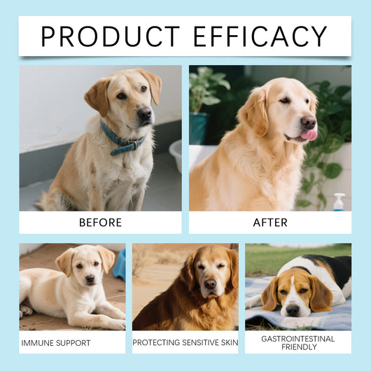 Probióticos en Gránulos Blandos para la Salud Digestiva de tu Perro - Image 8
