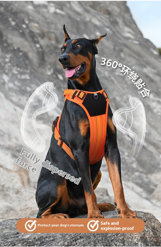 Purple pet harness with reflective straps, a top handle, and a metal D-ring for leash attachment. - Image 23